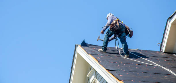 Best Shingle Roofing Installation  in Leisure City, FL
